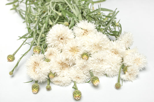 Glavinec Tall double snowman