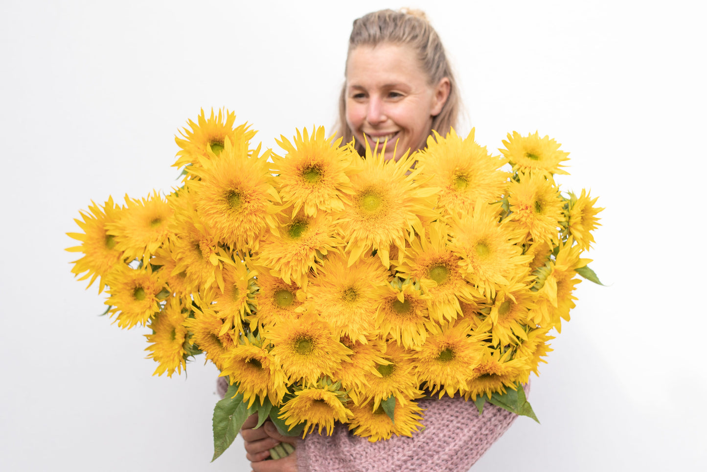 Sončnica Double sunking